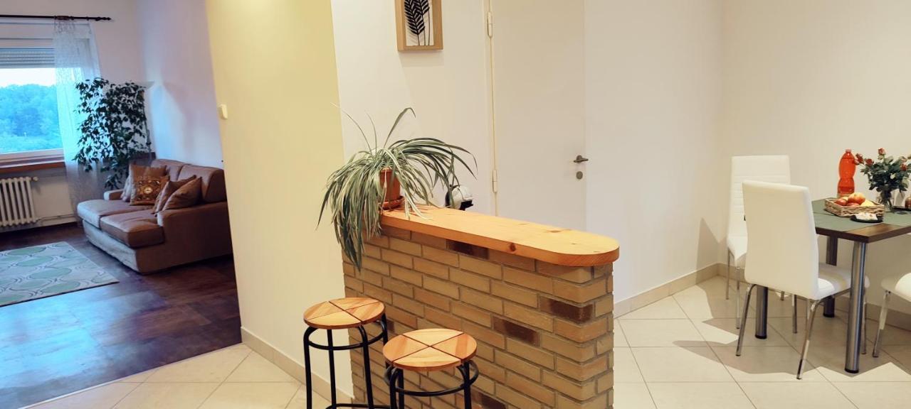 Danube Riverside Apartment With Quite Workplace บราติสลาวา ภายนอก รูปภาพ