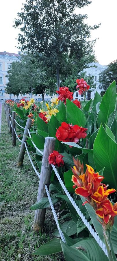 Danube Riverside Apartment With Quite Workplace บราติสลาวา ภายนอก รูปภาพ